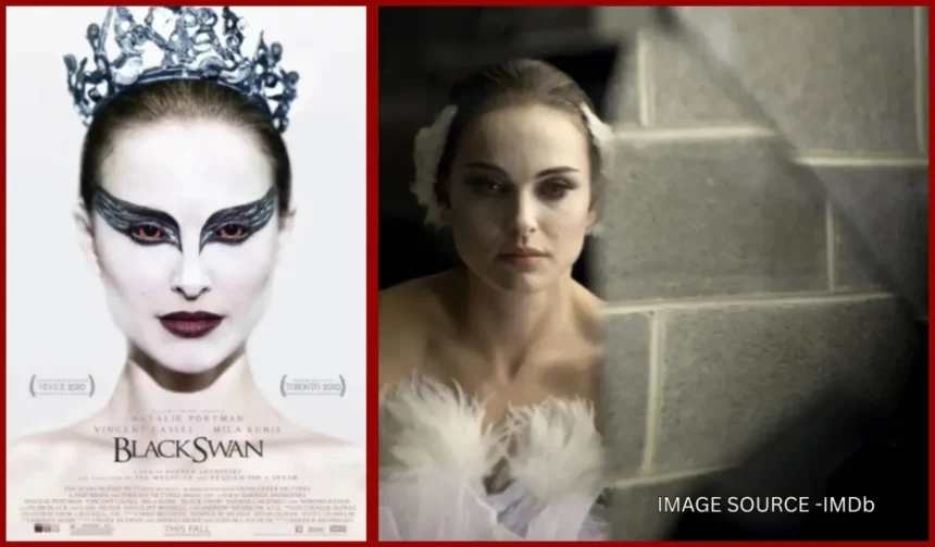 Black Swan Movie Explained : OTT News